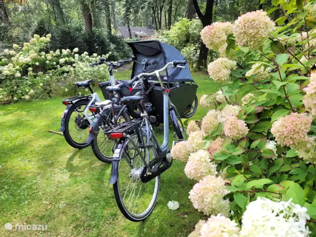 Bungalow en el bosque Jardines en Países Bajos, Güeldres, Garderen - bungaló Desde el bungalow del bosque se pueden hacer paseos en bicicleta muy agradables. En el hotel se pueden alquilar bicicletas (incluidas bicicletas eléctricas).