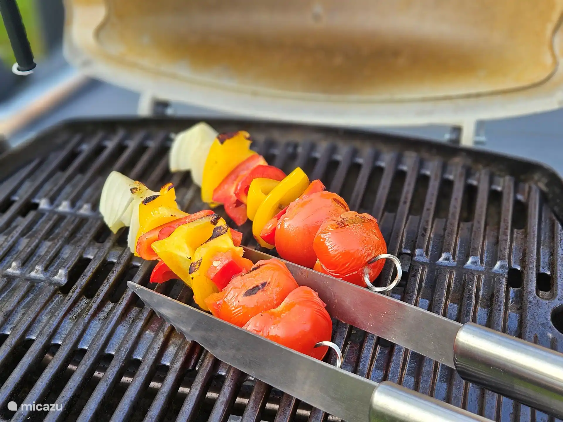 Debido a su ubicación en medio de una reserva natural, solo se puede utilizar una placa de gas