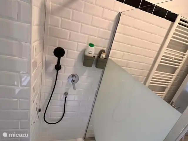 appartement huren in Italië, Rome, Rome – Chigi 82 Douche