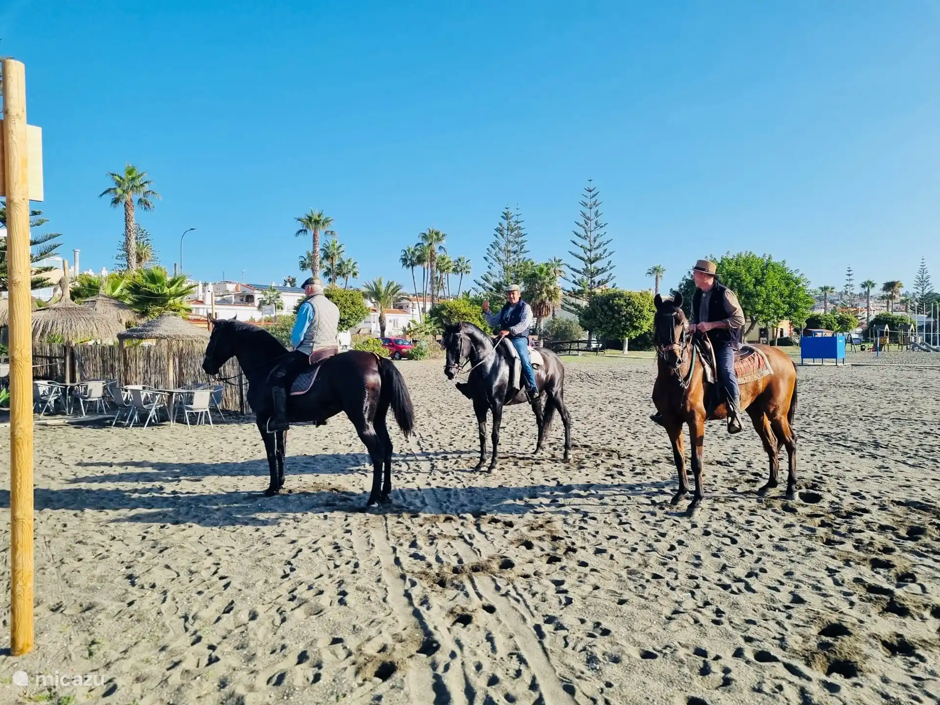 Horseback riding on the beach in the early and late season