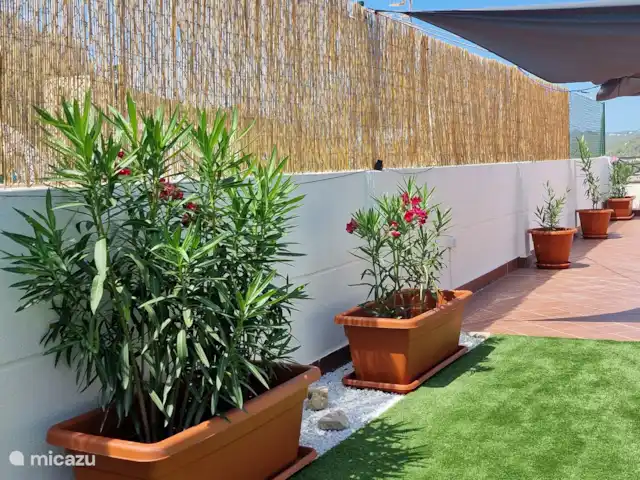 Bahia de Calpe | Espagne, Costa Blanca, Calpe - penthouse FLORE