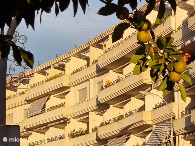 Bahia de Calpe | Espagne, Costa Blanca, Calpe - penthouse Avenue Masnou avec des mandariniers