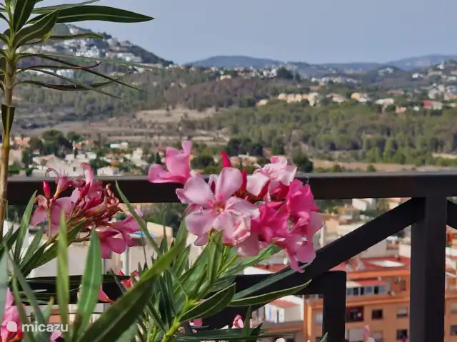 Bahia de Calpe | Espagne, Costa Blanca, Calpe - penthouse Vue