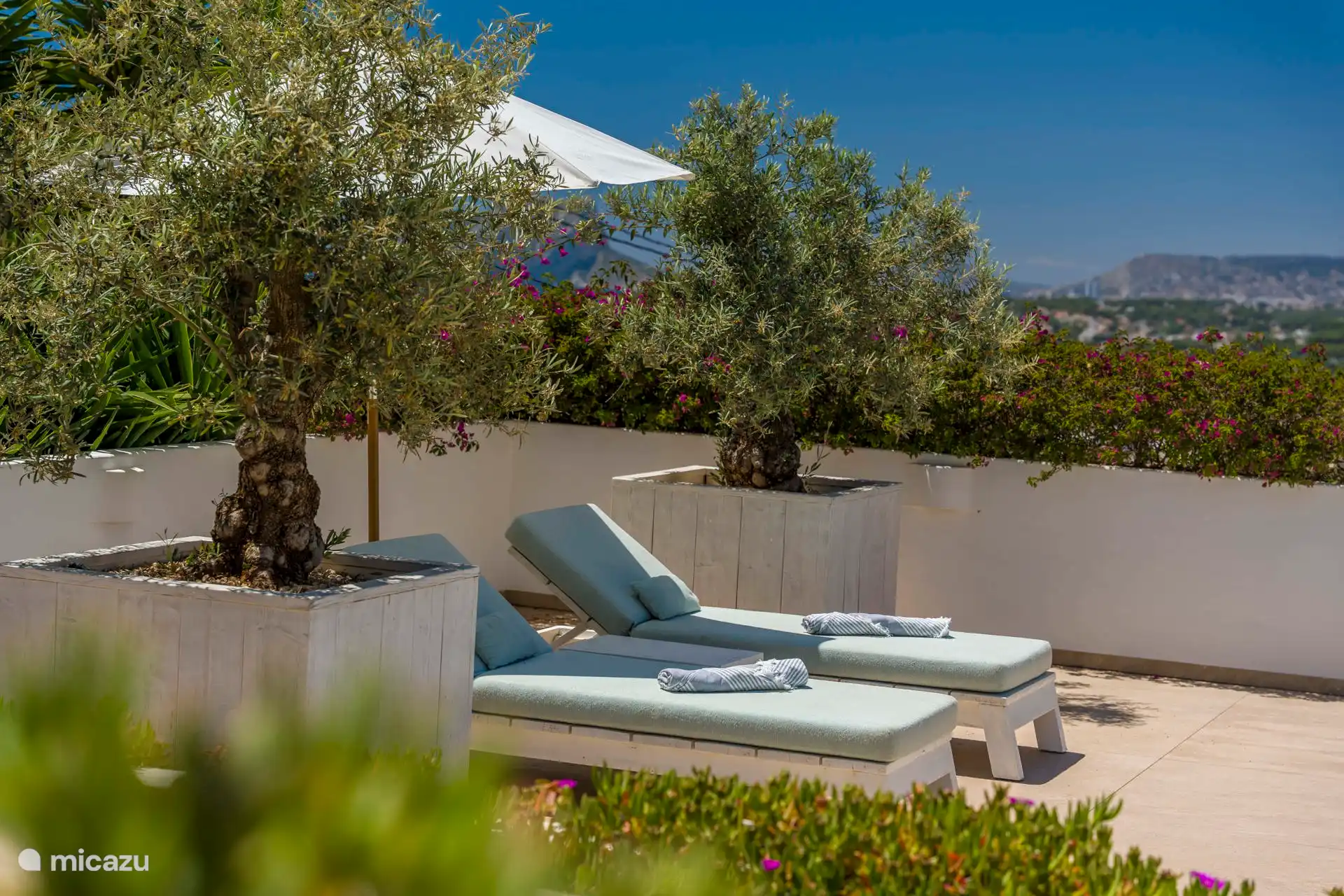 Two of the poolside sunbeds