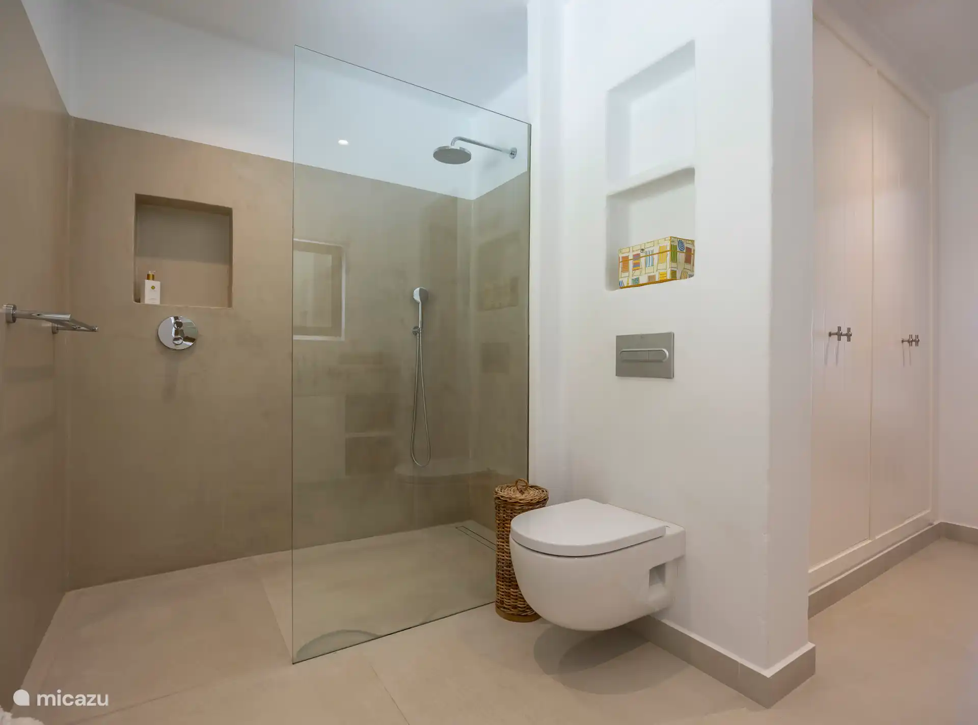 Walk-in shower and toilet belonging to master bedroom 