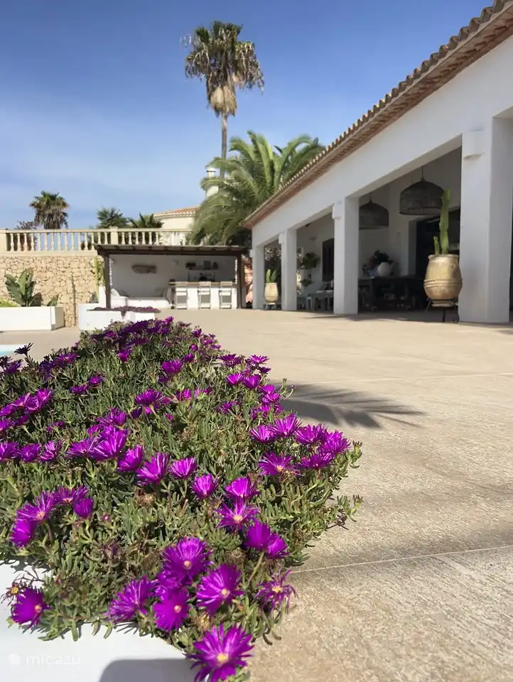 Die Naja und die Bar im Freien.