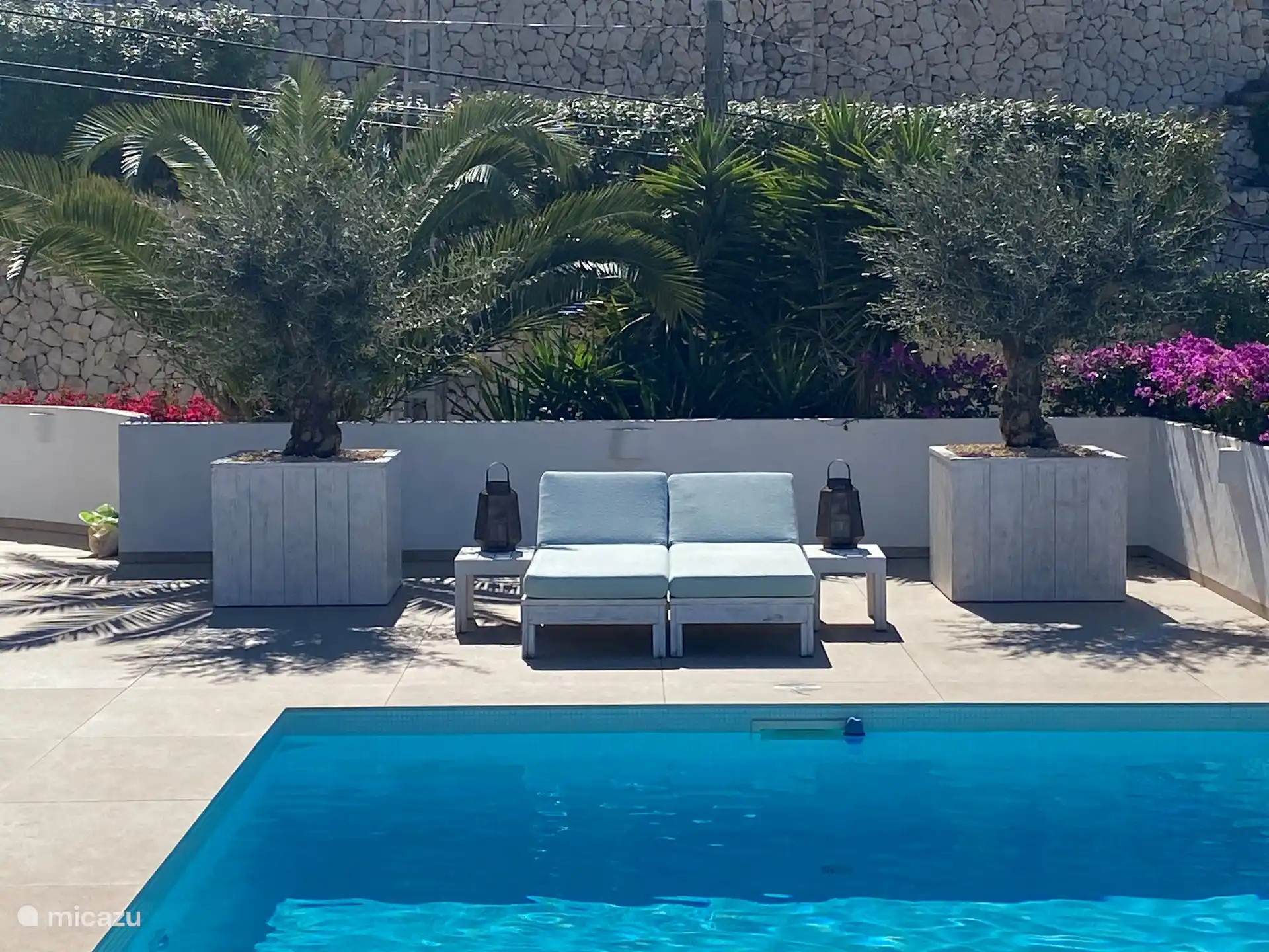 Einer der wunderbaren Orte zum Liegen, hier zwischen den Olivenbäumen.