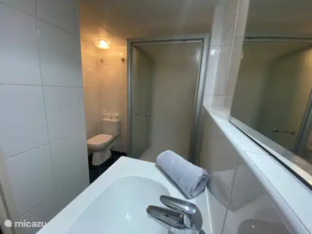 Location de Vacances France, Dordogne, Carsac, maison de vacances - Sur la Cave Salle de bain fraîche avec coin douche spacieux