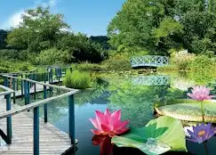 Jardin d'eau, direkt neben der Domaine de Carsac