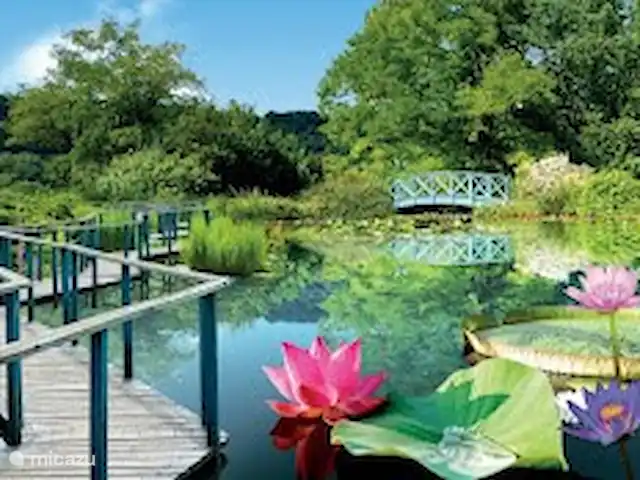 Location de Vacances France, Dordogne, Carsac, maison de vacances - Sur la Cave Jardin d’eau, juste à côté du Domaine de Carsac