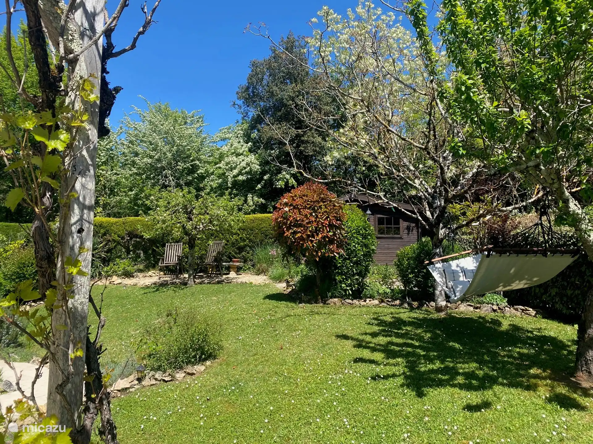 Garten mit Rasen und mehreren Terrassen