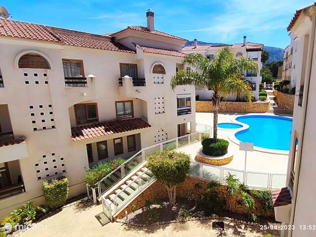 Holiday home in Spain, Costa Blanca, Benidorm - apartment Piso Ardilla