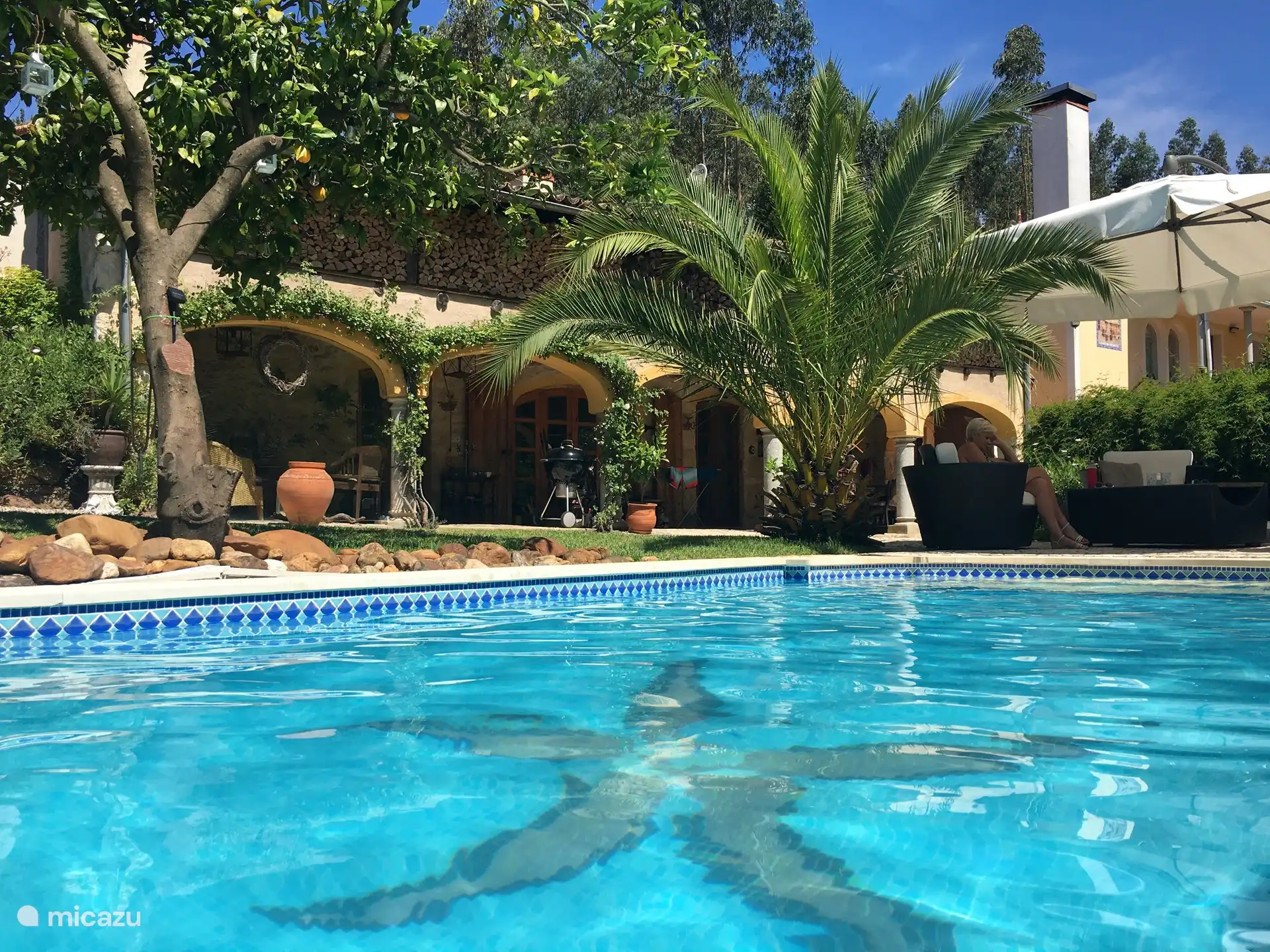 Grand parasol pour l’ombre. 