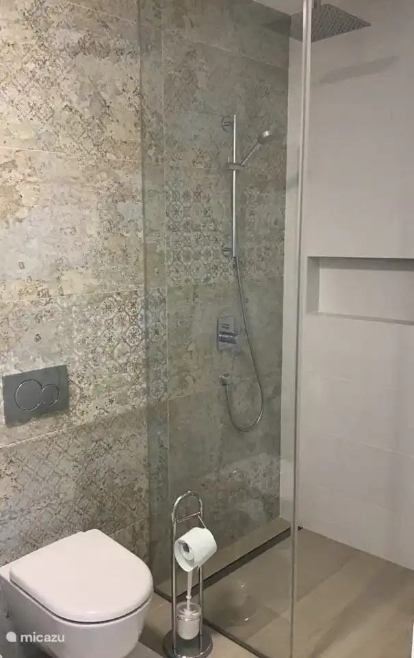 Salle de bain 2 avec WC, douche à l'italienne, lavabo sur placard (pas sur la photo)...