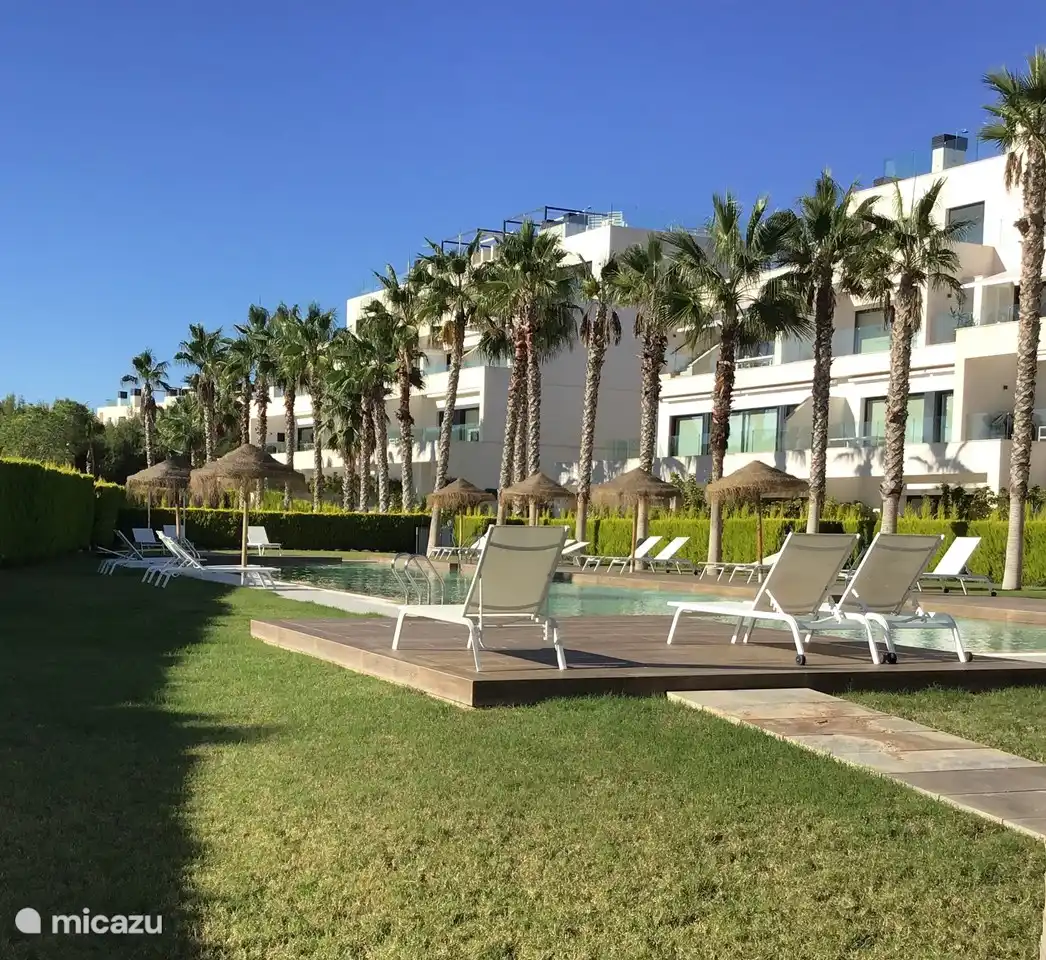Piscine communautaire, chaises longues, parasols