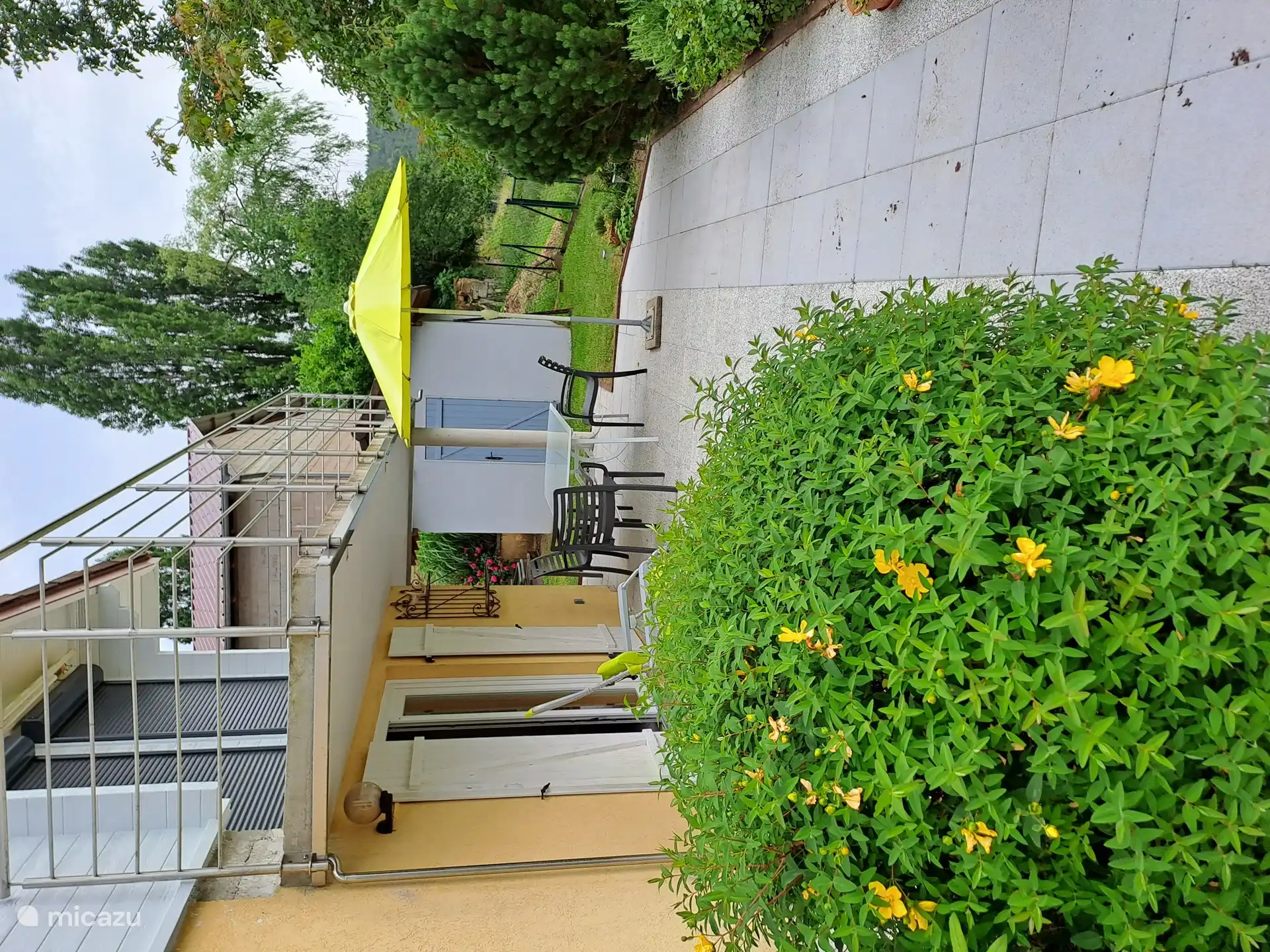 Rasen und Garten und Blick auf die Tiere. ( Pferde - Ponys - Schafe und wilde Tiere.