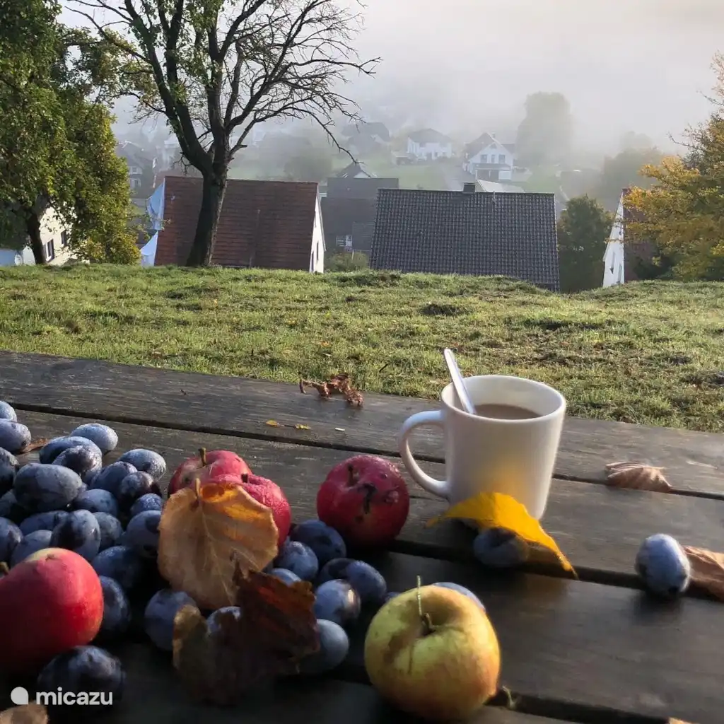Die schönste Aussicht