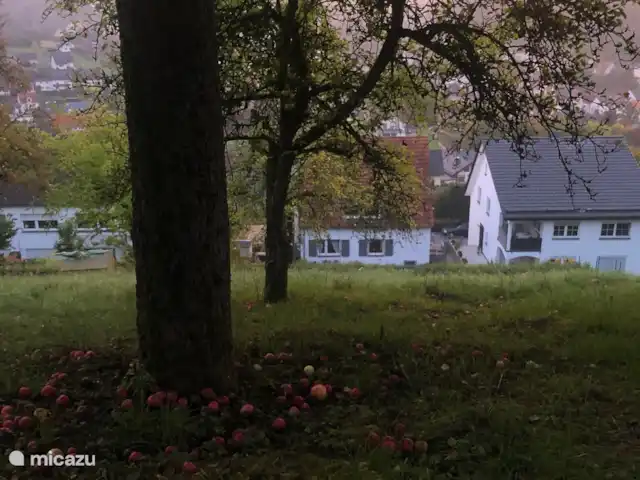 casa vacacional en Alemania, Sauerland, Beverungen – Die schönste Aussicht El jardín está ubicado en lo alto. 
En el punto más alto una hermosa vista sobre el valle