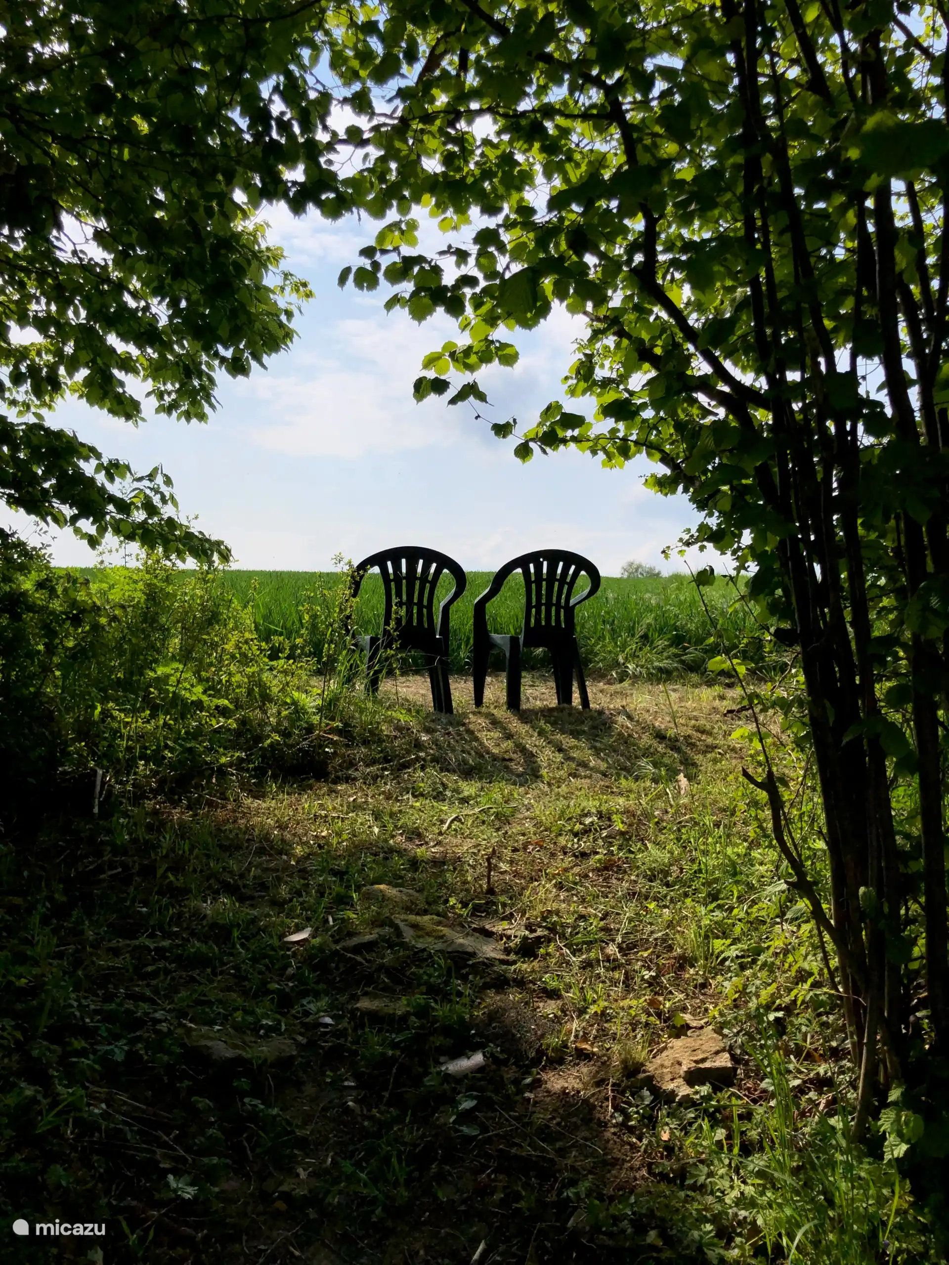 Exit at the top of the garden to farmland, follow the grassy path and walk on top of the farmlands 