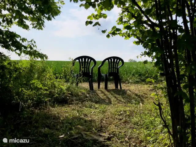 casa vacacional en Alemania, Sauerland, Beverungen – Die schönste Aussicht Salga en la parte superior del jardín hacia las tierras de cultivo, siga el camino cubierto de hierba y camine sobre las tierras de cultivo
