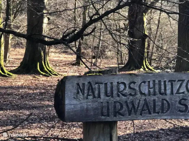 casa vacacional en Alemania, Sauerland, Beverungen – Die schönste Aussicht Bosque primitivo Sabawald en las cercanías