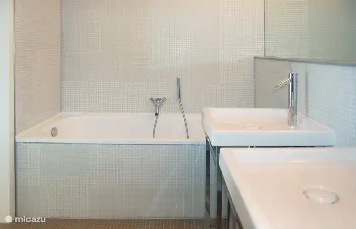 A bath, a shower and double sinks in the master bathroom.