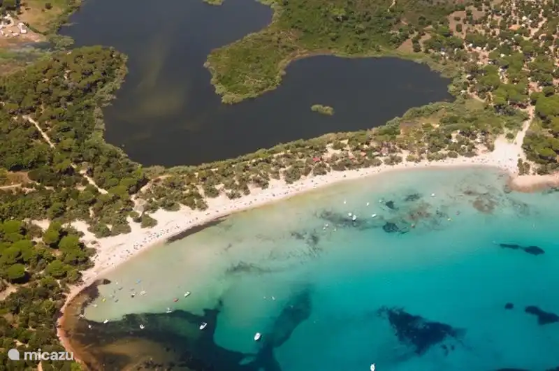 Aerial view of Plage Villata with the turtles more. In this region have plenty of wild land and water turtles.