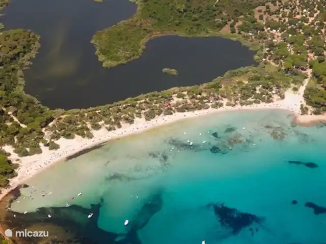 Location de Vacances France, Corse, Sainte-Lucie-de-Porto-Vecchio, villa - Villa Coucou Les Amis Vue aérienne de la Plage Villata avec le lac aux tortues. De nombreuses tortues sauvages terrestres et aquatiques vivent dans cette région.