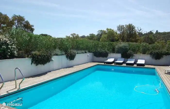 Large pool with sun loungers on the terrasses in a beautiful garden