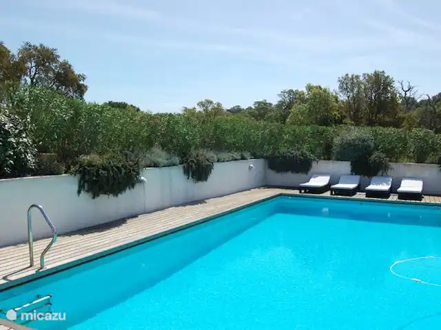 Location de Vacances France, Corse, Sainte-Lucie-de-Porto-Vecchio, villa - Villa Coucou Les Amis Grande piscine avec transats sur la terrasse dans un beau jardin