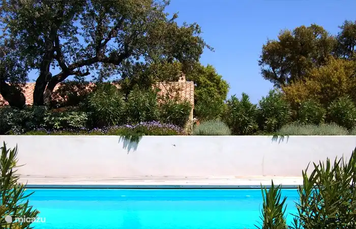 The garden has many flowers and fruit trees so as olives, oranges, tangerines, lemons, figs and grapes