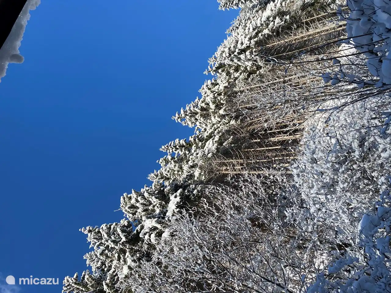 Las maravillas de invierno