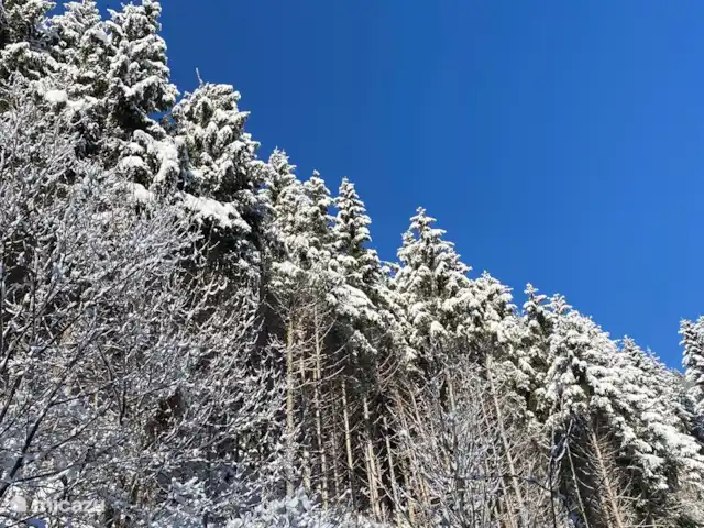 Molltaler Appartements sonnberg en Austria, Carintia, Stall - apartamento Las maravillas de invierno