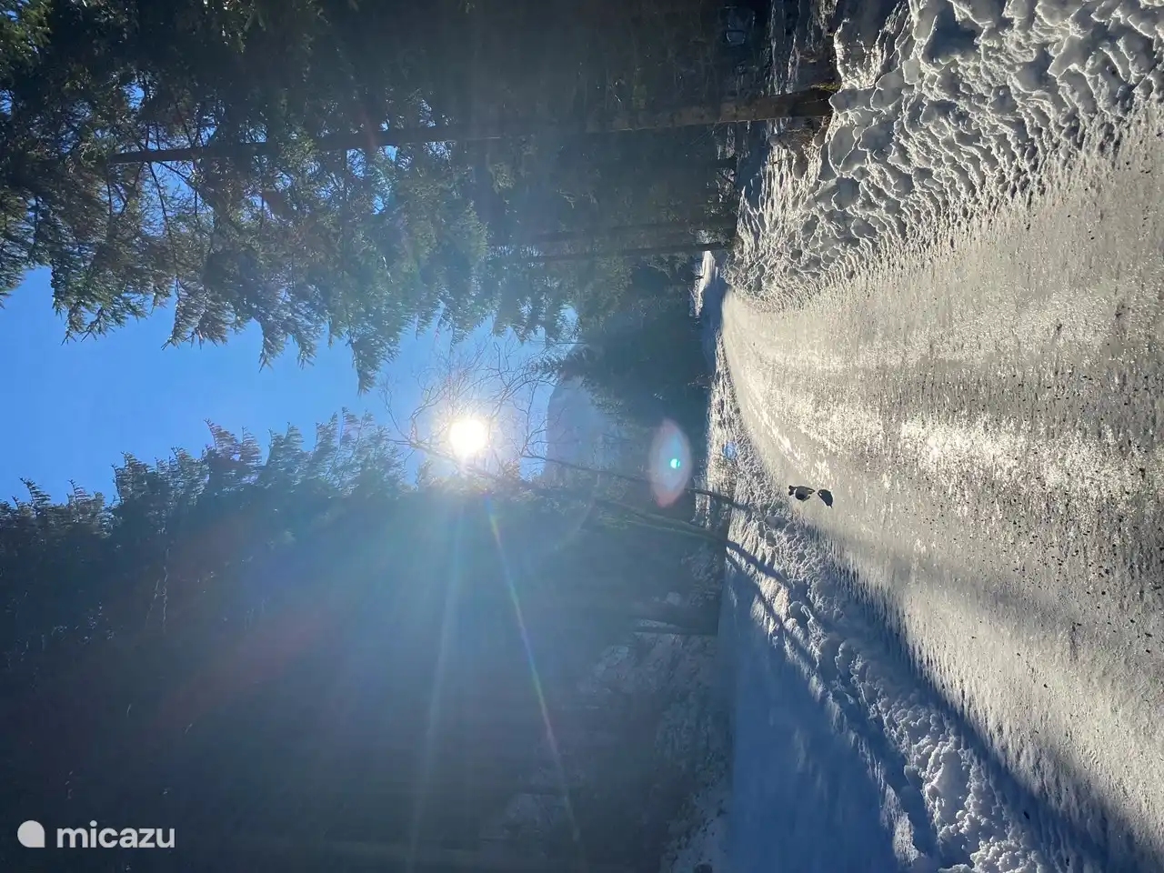 lago cercano con ruta para caminar