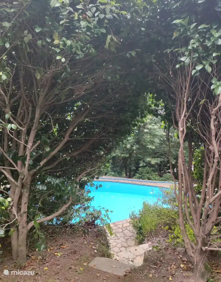 Blick auf das Schwimmbad