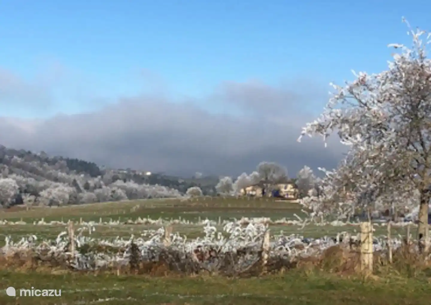 Belle région en hiver