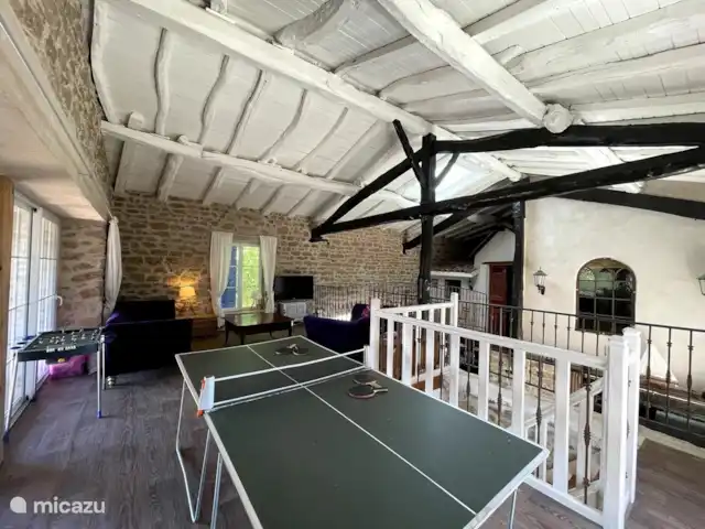 Location de Vacances France, Puy-de-Dôme, Saint-Flour-l'Étang, villa - La Vigne La salle de jeux