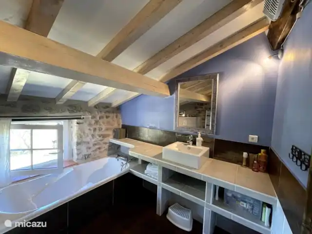 Location de Vacances France, Puy-de-Dôme, Saint-Flour-l'Étang, villa - La Vigne Salle de bain 1