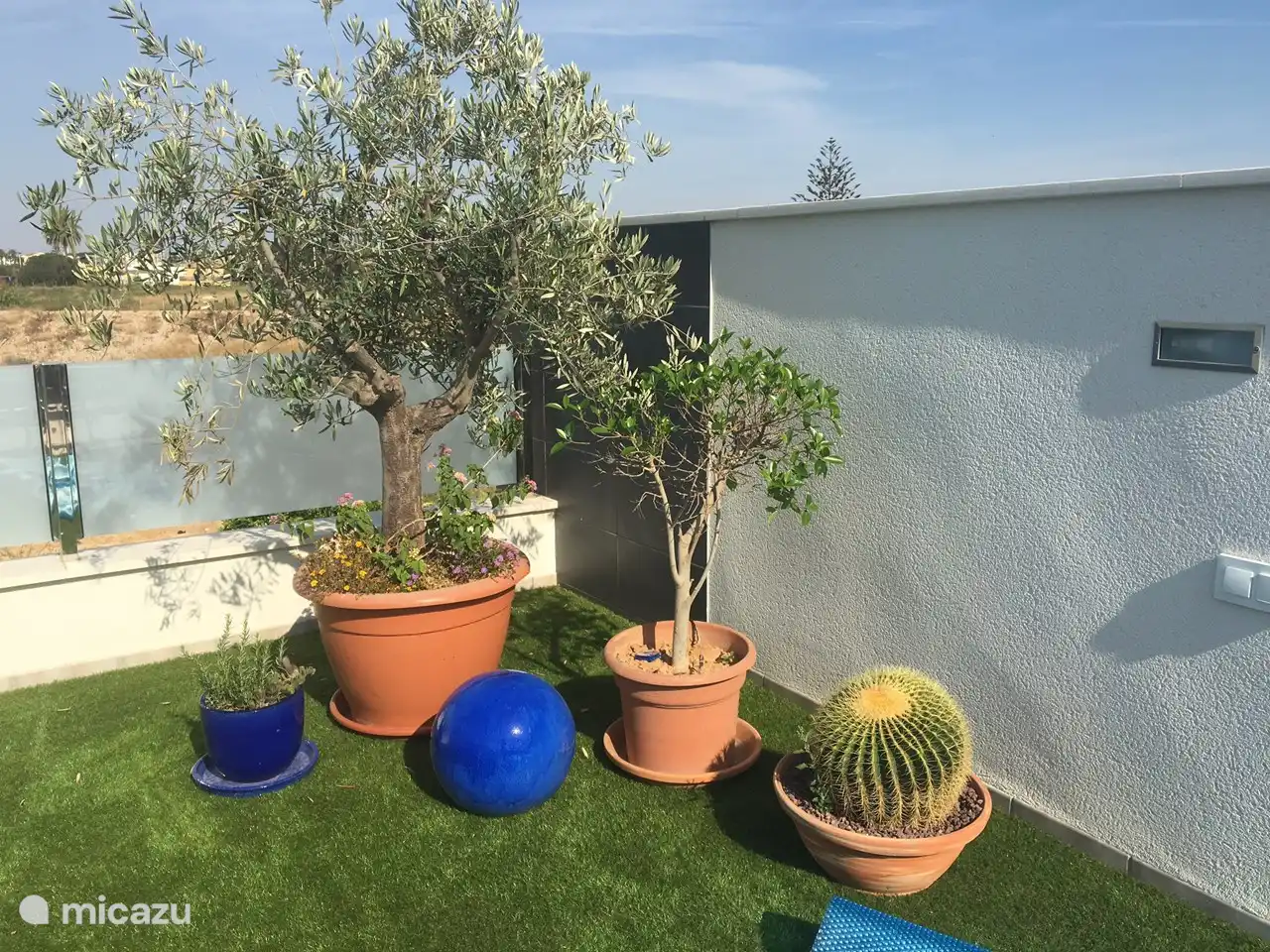 Parte de la terraza de arriba (los españoles llaman a esta parte solárium)