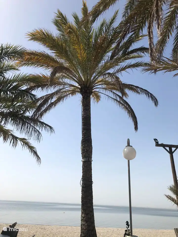 Bonita foto, ¿verdad?