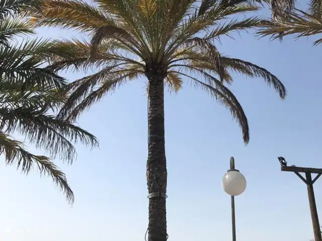 Casa Mar y Más en España, Murcia, San Pedro del Pinatar - casa vacacional Bonita foto, ¿verdad?