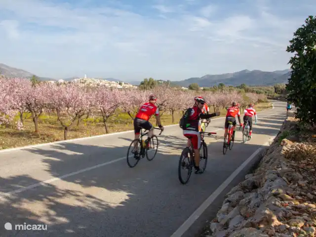 Villa Foia Vella, suite Lavandula | Espagne, Costa Blanca, Benigembla - chambres d'hôtes Paradis du cyclisme, également pour les professionnels