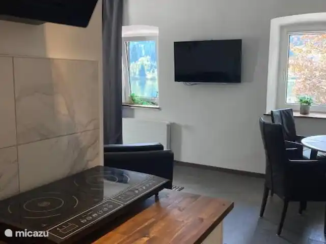 Appartement 2 chambres | Autriche, Carinthie, Feld Am See - appartement Hotte aspirante, plaque à induction,. TV et vue