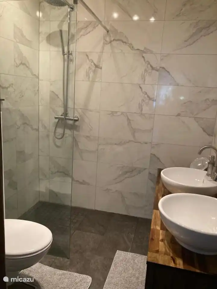 Badezimmer mit Doppelwaschbecken, ebenerdiger Dusche und Toilette