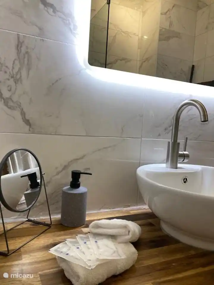 Badezimmer mit Doppelwaschbecken, ebenerdiger Dusche und Toilette