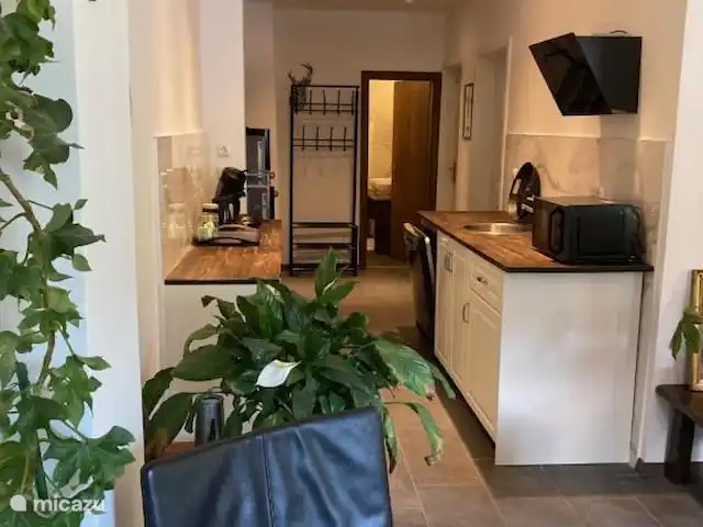 Appartement 2 chambres | Autriche, Carinthie, Feld Am See - appartement Cuisine avec toutes les commodités