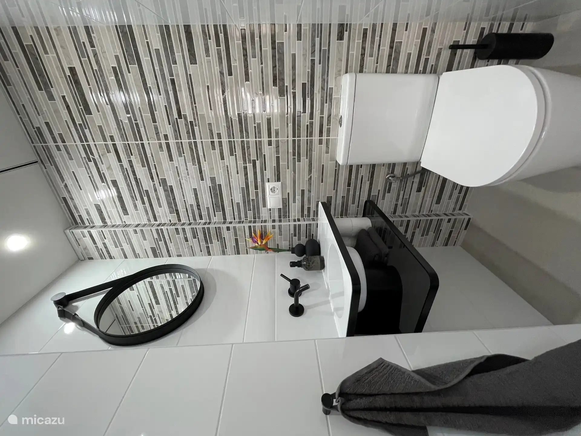 Toilettes de luxe séparées