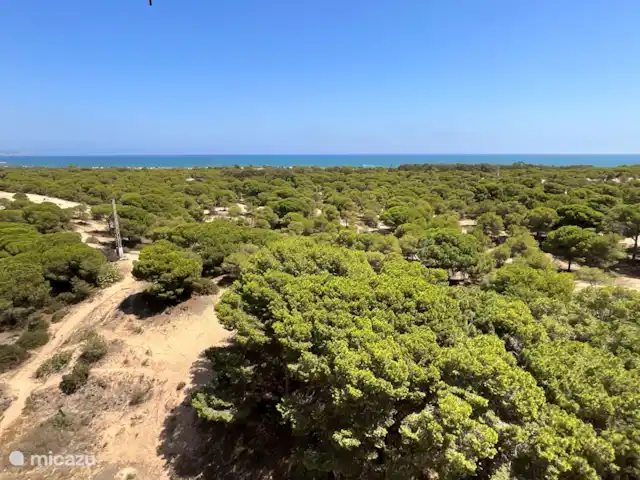 Casa Vista Al Mar | Espagne, Costa Blanca, Guardamar del Segura - appartement Vue depuis le balcon sur les dunes et la mer