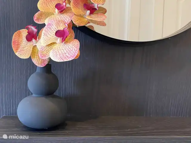 Casa Vista Al Mar | Espagne, Costa Blanca, Guardamar del Segura - appartement Décoré avec goût
