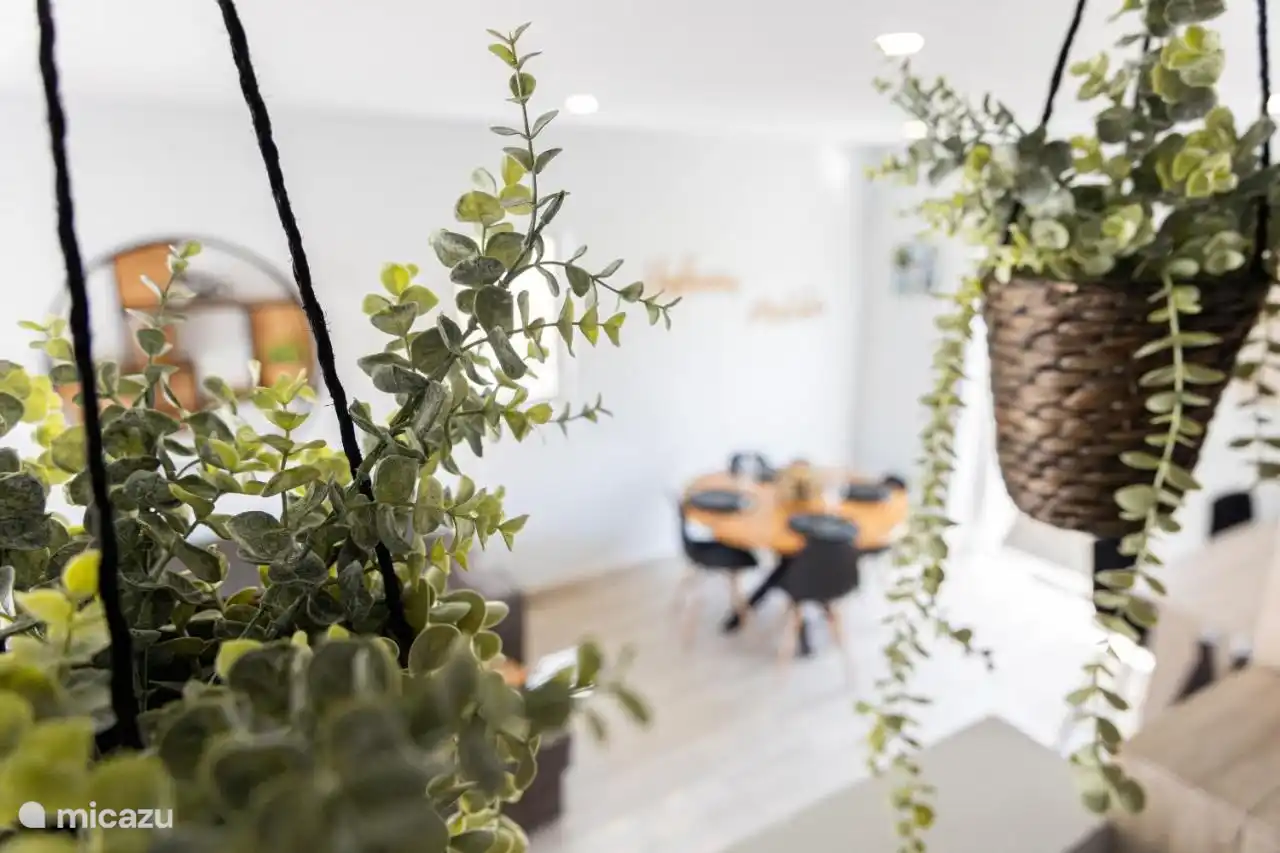 Plantjes door het hele huis voor de perfecte vakantie gevoel.